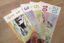 Monnaie locale : la Racine se veut symbole de valeurs territoriales partagées