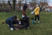 Les lycéens de Delaunay plantent des arbres dans l’établissement