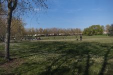 Le réaménagement du parc des Quatre saisons « devrait débuter en juin 2022 »