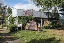 L’Opie, une association scientifique pour préserver les insectes et sensibiliser le public