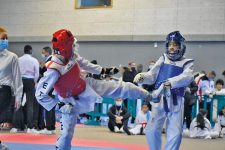 Championnat d’Île-de-France : Encore une razzia pour l’École taekwondo Trappes