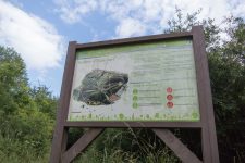 Colline d’Élancourt 2024 : une nouvelle phase de concertation électronique est lancée