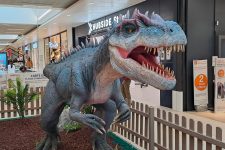 Les dinosaures s’invitent à Aushopping Grand Plaisir